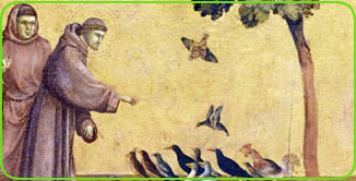 Francesco d'Assisi: I Fioretti