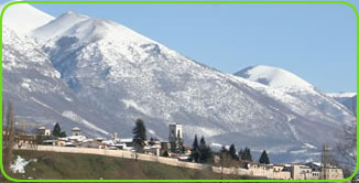 Benedetto da Norcia e la sua citta'