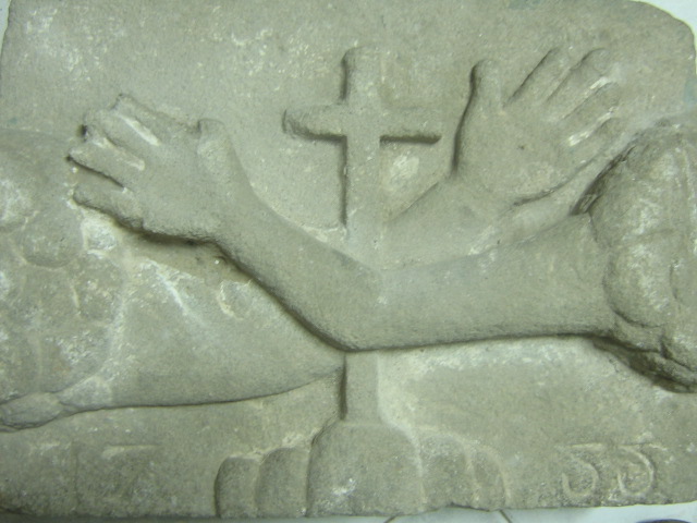 Compagni di San Francesco